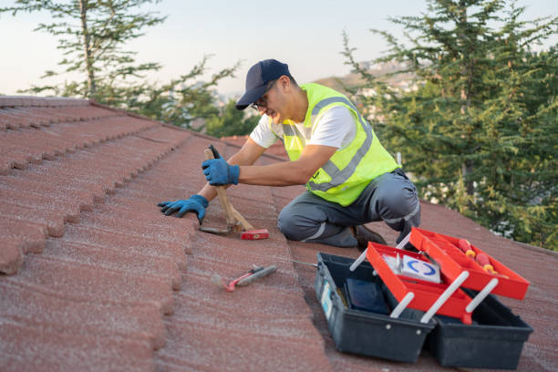Best Roof Gutter Cleaning  in Cotter, AR