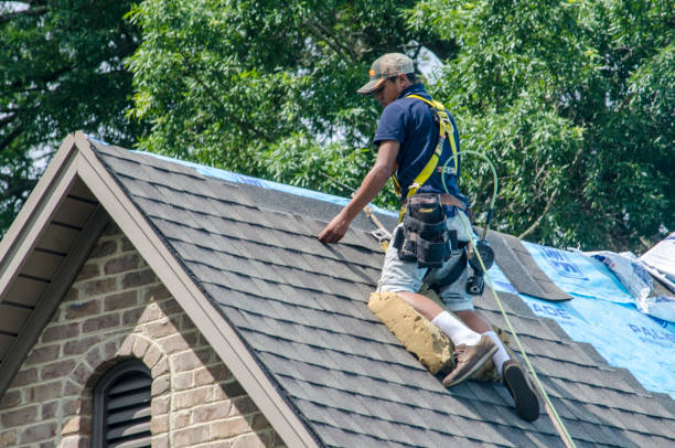 Quick and Trustworthy Emergency Roof Repair Services in Cotter, AR